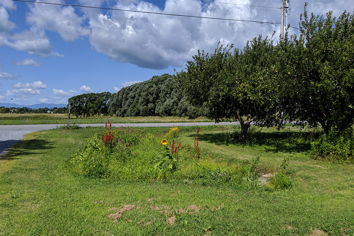 Green Stormwater Infrastructure project at a Vermont property