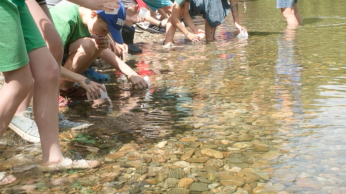 Students release trout into the Huntington River